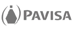 楚大合作伙伴 -- PAVISA
